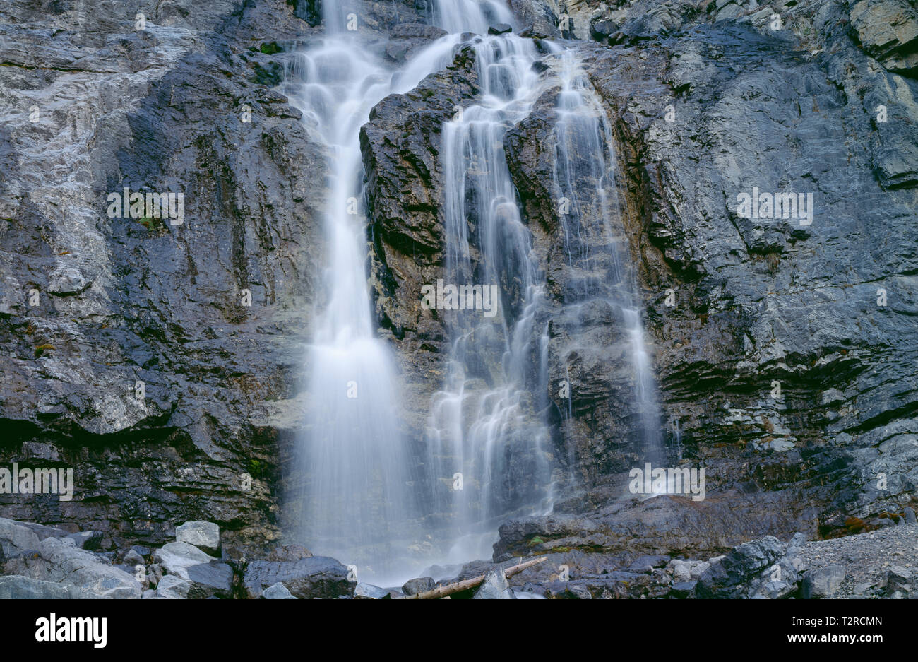 Canada, Alberta, Jasper National Park, groviglio cade cade sulla roccia calcarea lungo la Icefields Parkway. Foto Stock