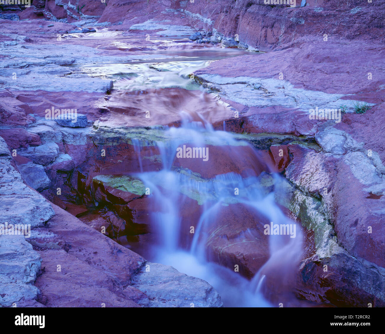 Canada, Alberta, Parco Nazionale dei laghi di Waterton, argillite rossastro, una roccia sedimentaria, aggiunge colore alle streambed nel Red Rock Canyon. Foto Stock