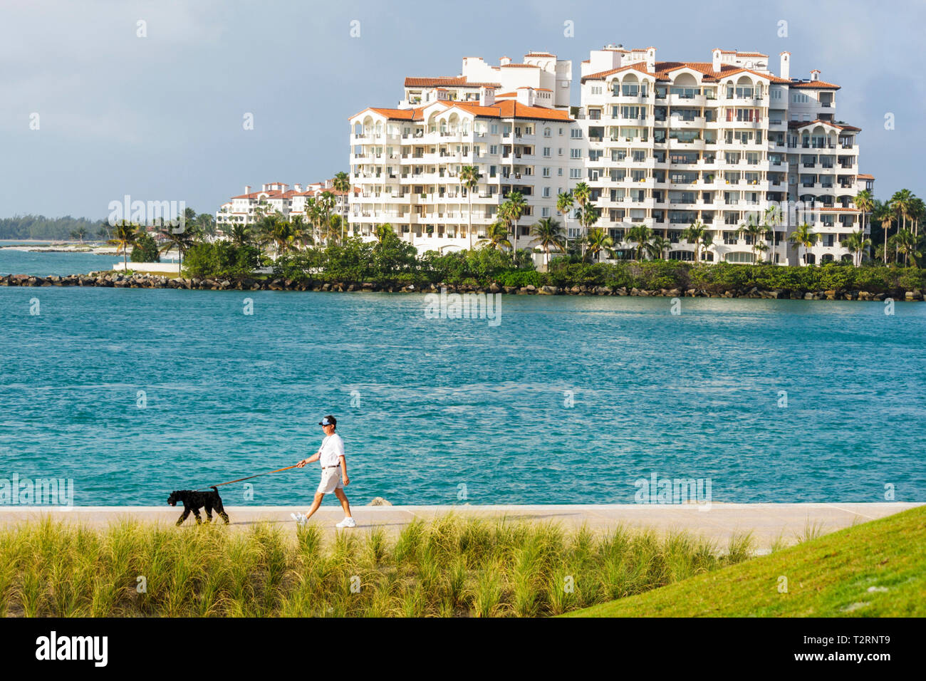 Miami Beach Florida, South Pointe Park, Point, Oceano Atlantico, acqua, Government Cut, parco urbano, spazio pubblico, spiaggia, erba, vegetazione, uomo maschio, a piedi Foto Stock