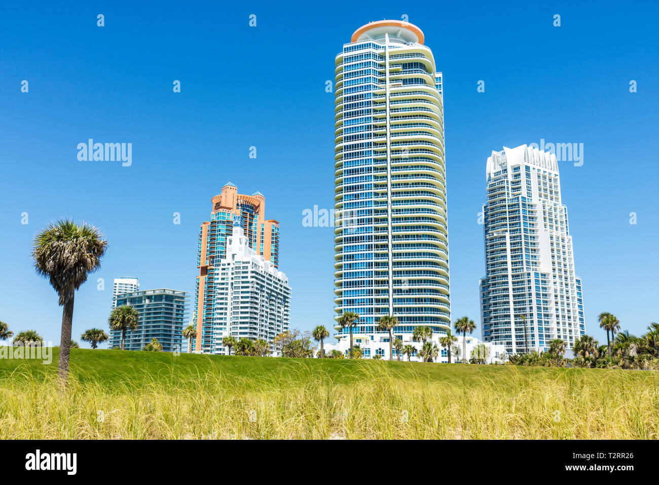 Miami Beach Florida, South Pointe Park, Point, passerella, prato, dune, erbe, palme, paesaggio, edificio, condominio appartamenti residenziali bu Foto Stock