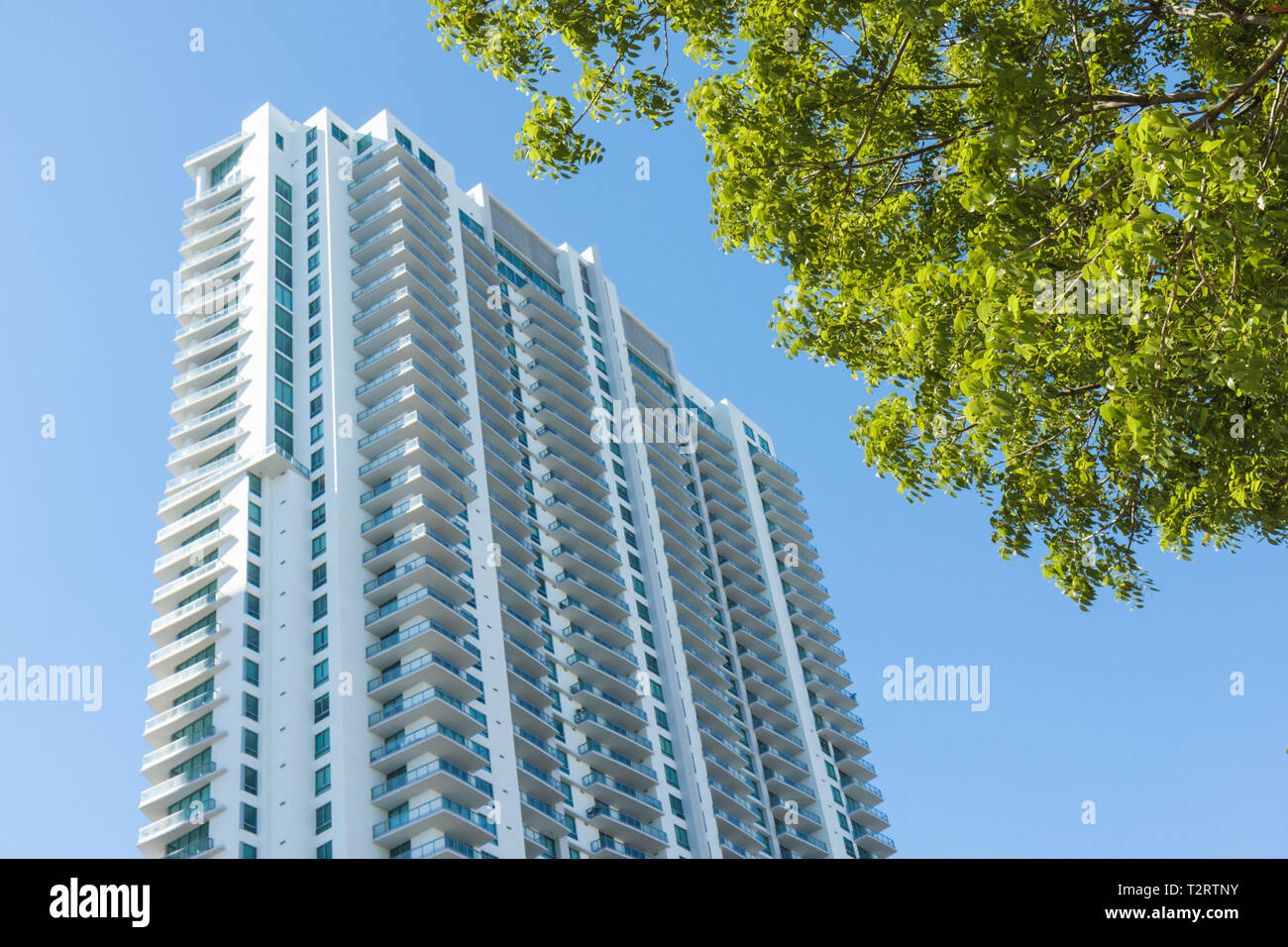 Miami Florida, centro, grattacieli grattacieli grattacieli edifici condominio appartamenti residenziali alloggio, architettura moderna, ba Foto Stock