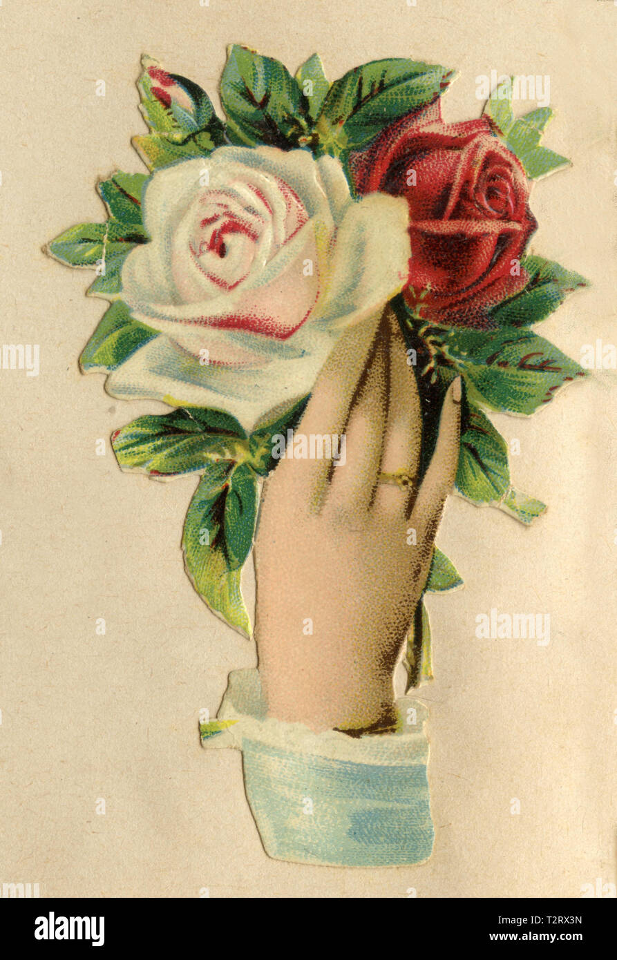 Mano con rosso e rosa bianca, 1906 Foto Stock
