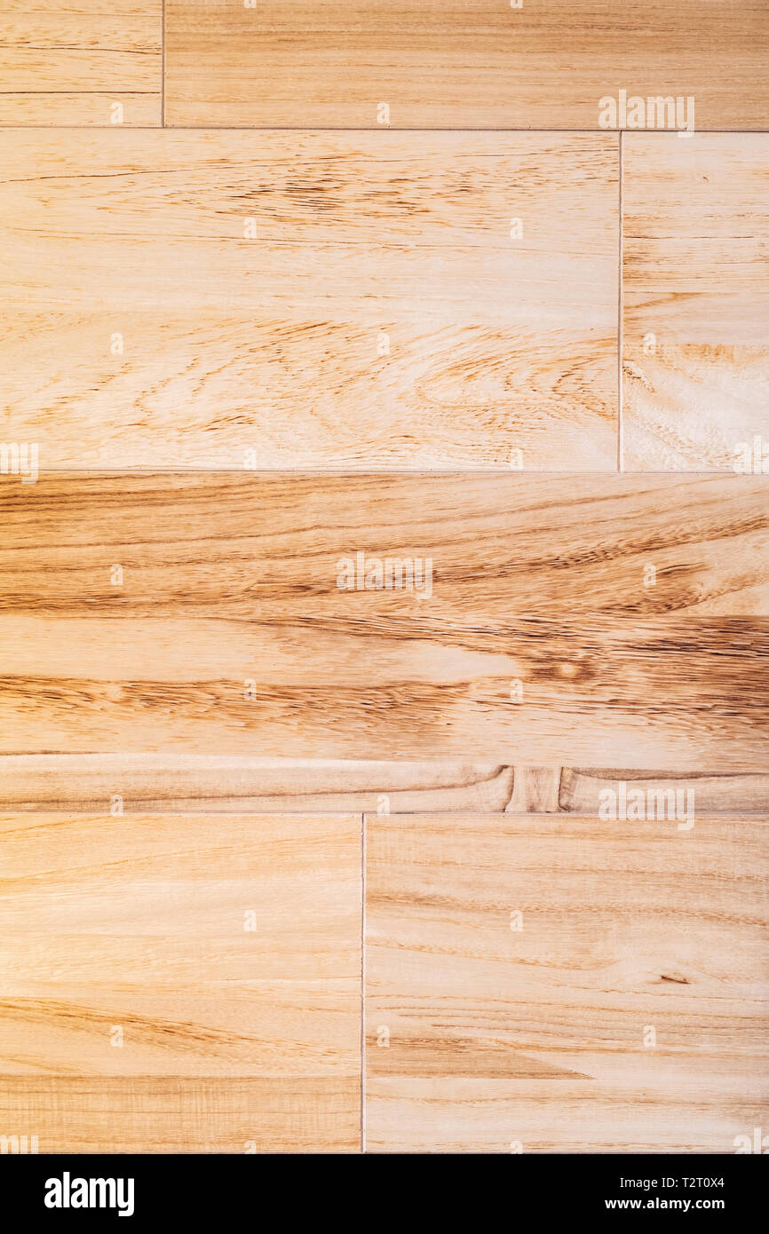 Legno texture di sfondo, albero naturale Foto Stock