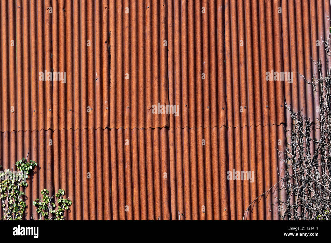 Rusty ondulate di copertura Foto Stock