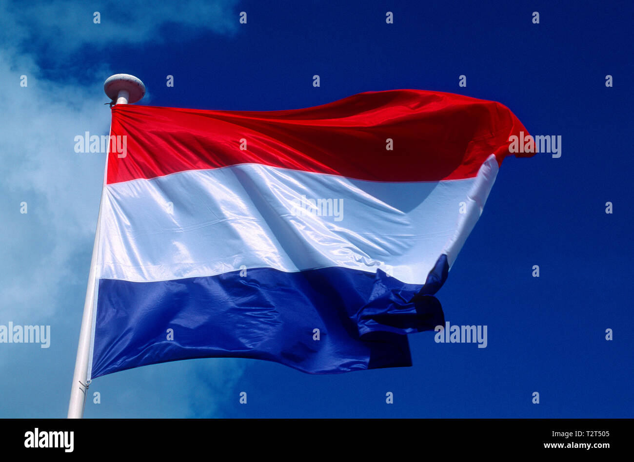 Bandiera olandese sventolare nel vento Foto Stock