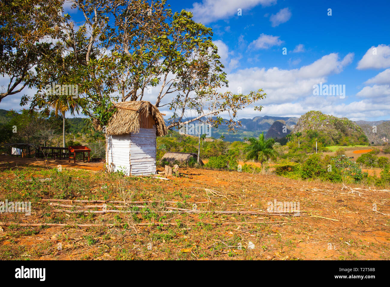 Famoso Cuba farmland area di tabacco, Valle de Vinales, Pinar del Rio, Cuba. Foto Stock