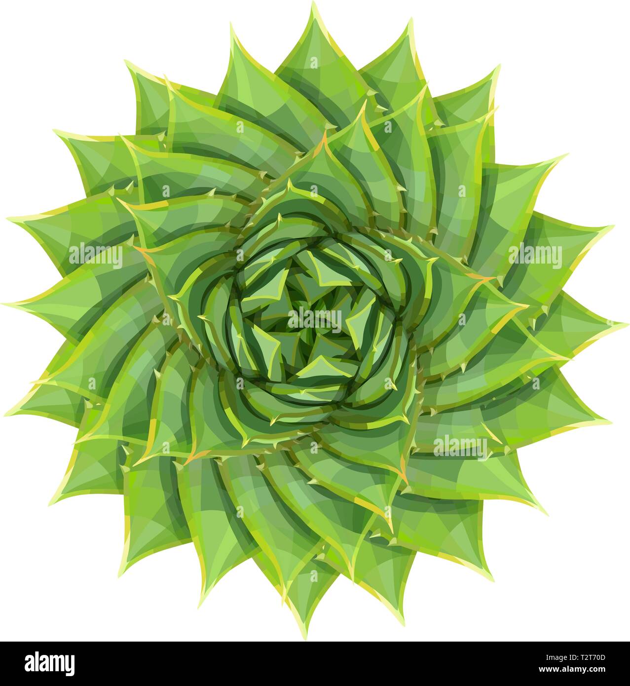 Spirale aloe houseplant succulenti o impianto di deserto illustrazione vettoriale, geometriche verde fiore di pattern Illustrazione Vettoriale