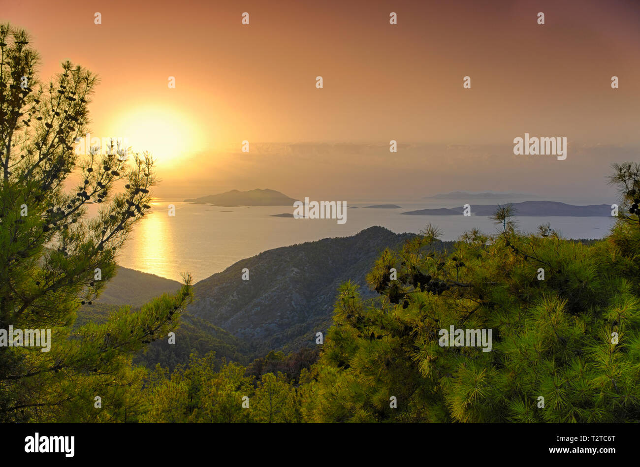 Tramonto sul mare Egeo e le isole Dodecanesi incorniciata da rami di abete Foto Stock