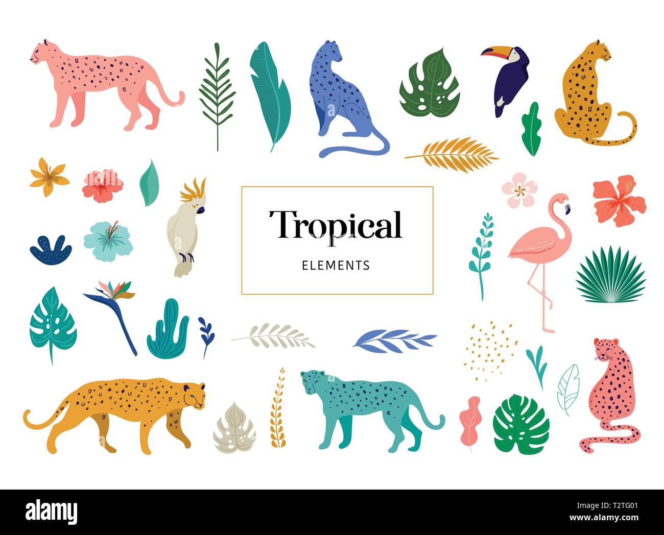 Tropical animali esotici e uccelli - leopardi, tigri, pappagalli e tucani illustrazione vettoriale. Animali selvatici nella giungla, foresta pluviale Illustrazione Vettoriale
