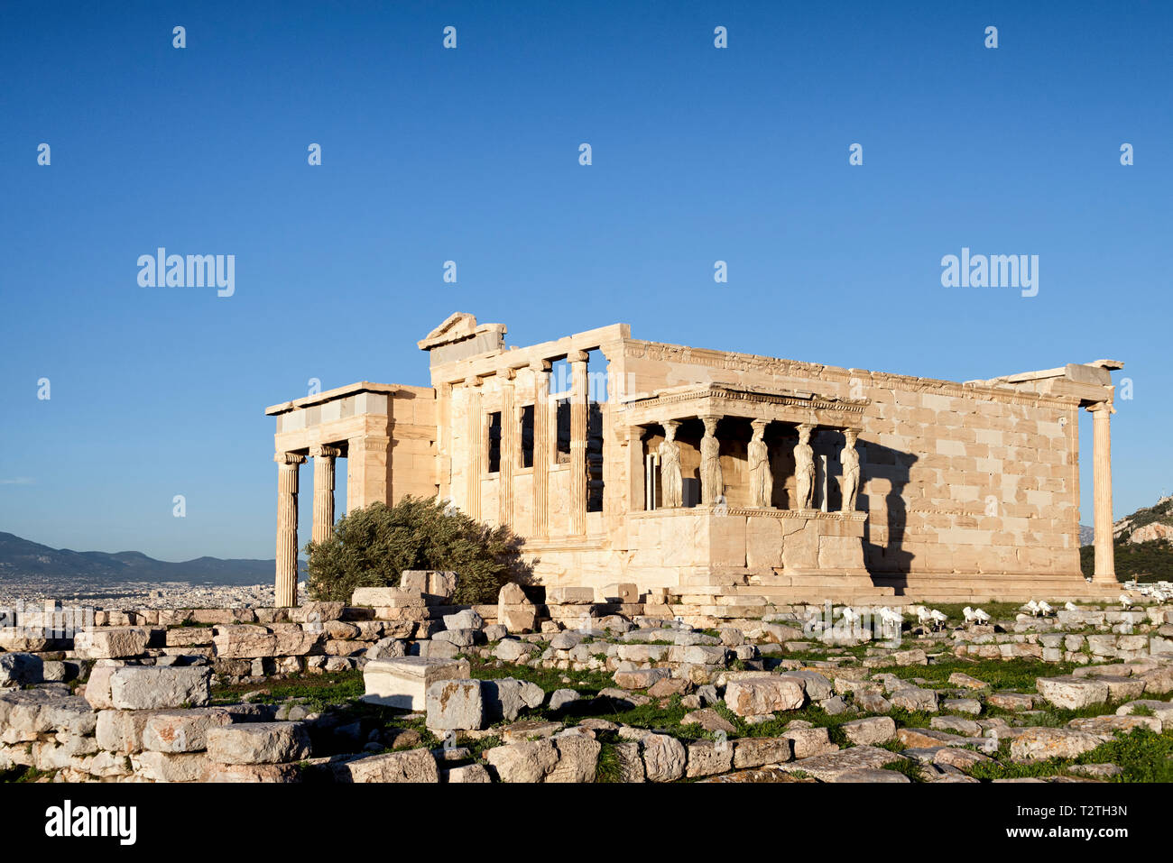 Vista di Erechtheion, noto anche come Erechtheum, tempio dedicato ad Atena e Poseidone a Atene, Grecia Foto Stock