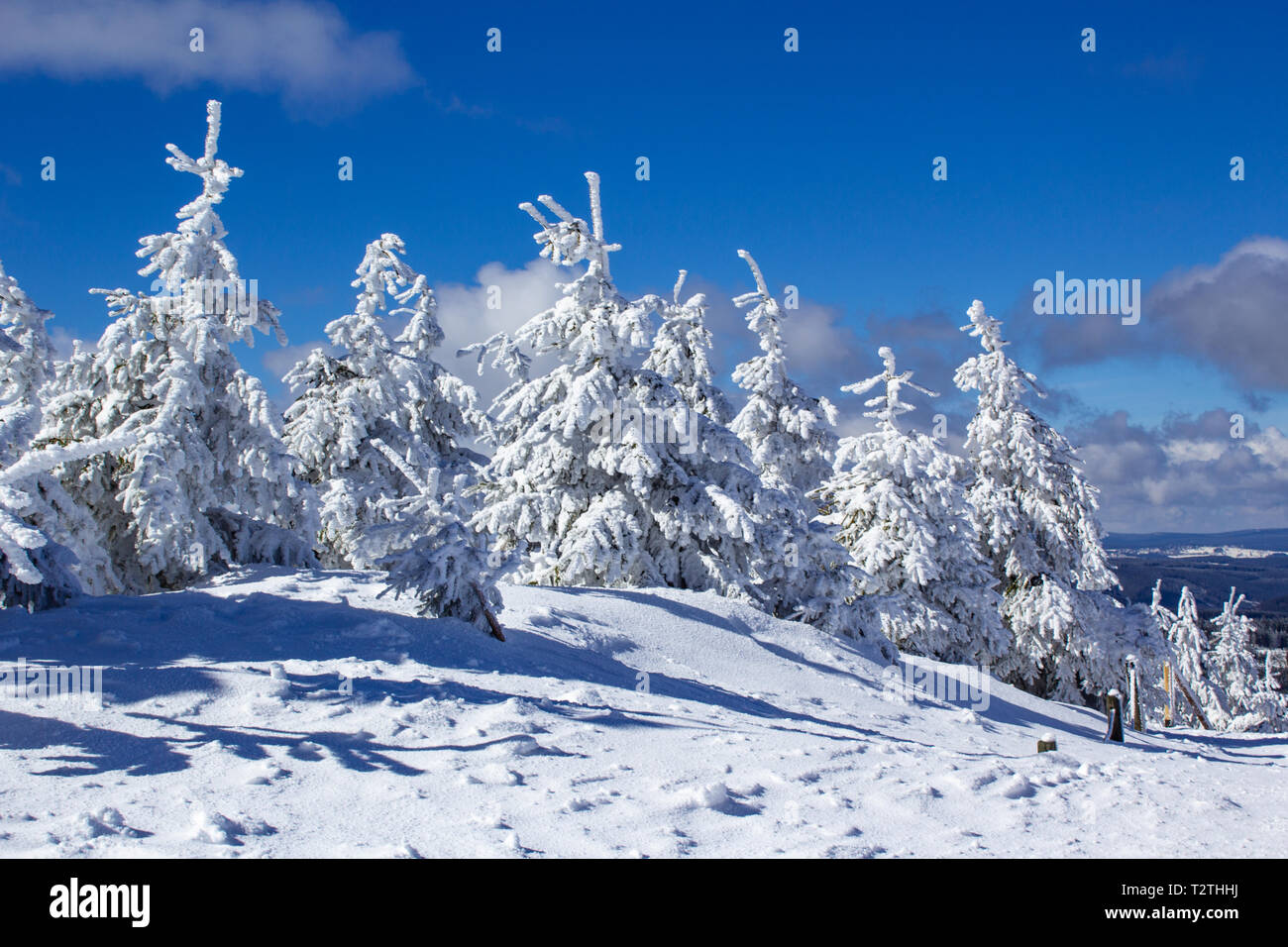 Paesaggio invernale a Fichtelberg, Oberwiesenthal, Germania Foto Stock
