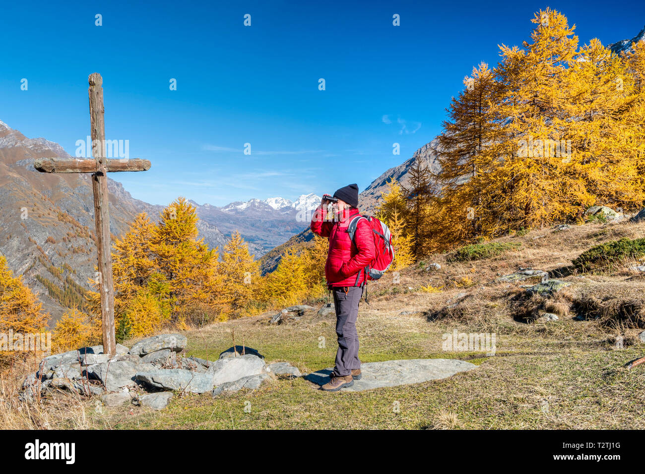 L'Italia, Valle d'Aosta, il Parco Nazionale del Gran Paradiso, la Valle di Rhemes, Entrelor altopiano europeo di foresta di larici in autunno, backpacker Foto Stock