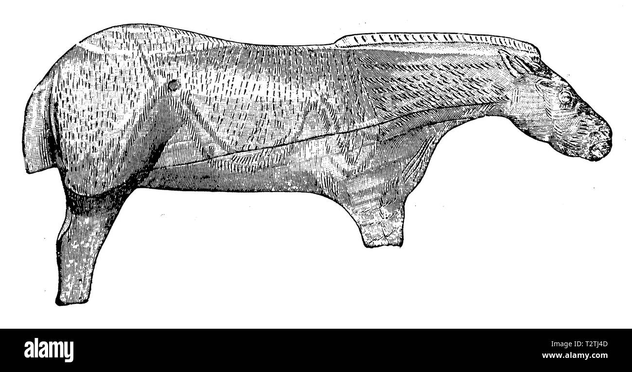 Cavalli la figura. Di intaglio di ossa da un francese meridionale Diluvial deposito di renne. Dopo Ed. Piette, 1902 Foto Stock