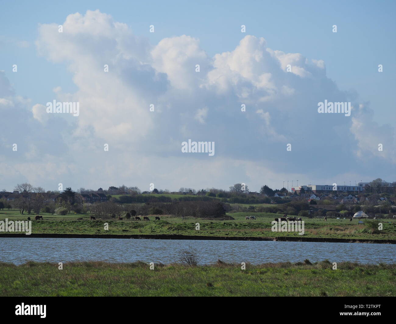 Sheerness, Kent, Regno Unito. Il 4 aprile, 2019. Regno Unito Meteo: un soleggiato ma freddino mattino in Sheerness, Kent. Credito: James Bell/Alamy Live News Foto Stock