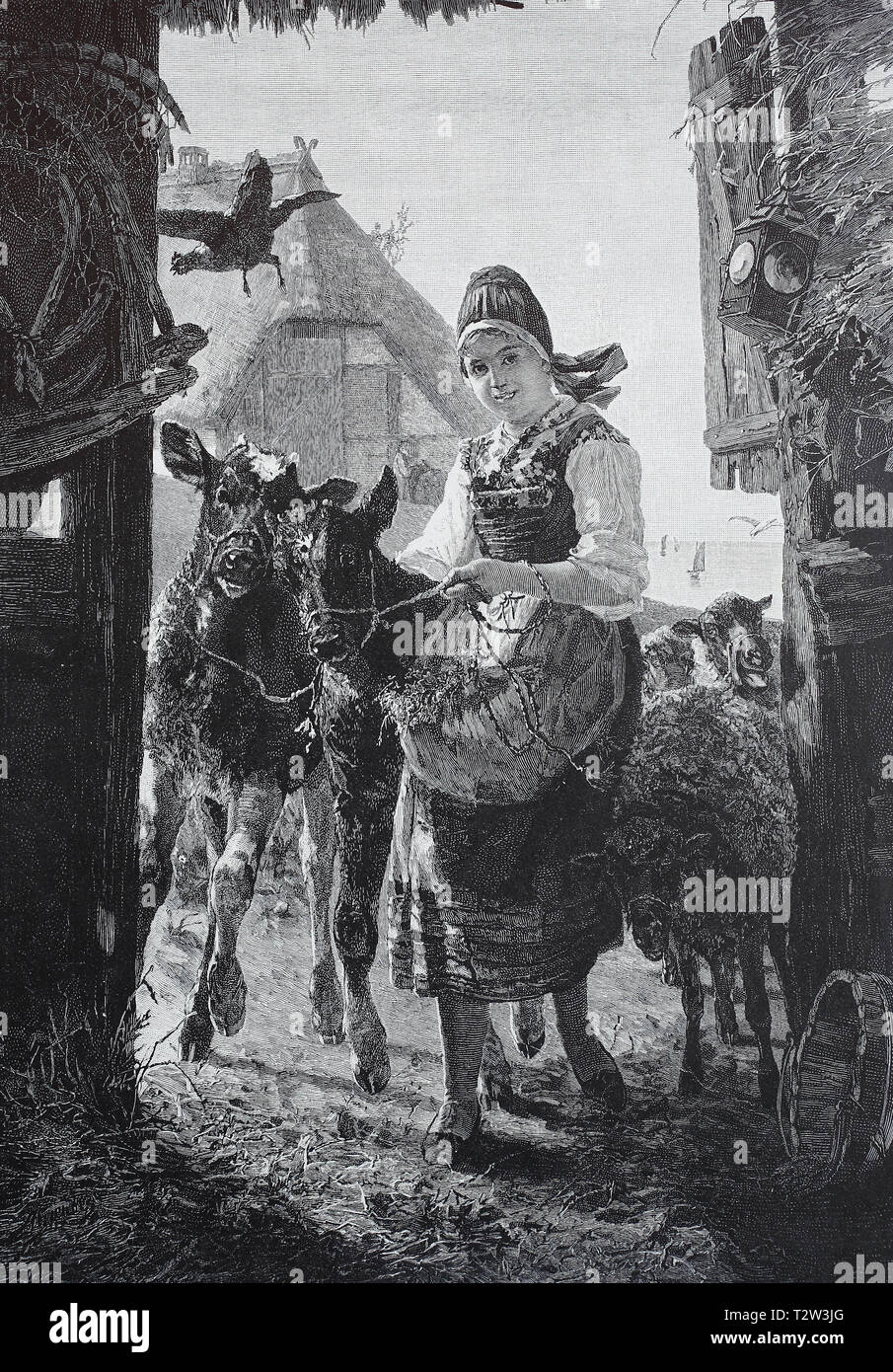 Scena di Monaco è un bene della vita agricola, isola di Rügen, dipinta da Konrad Ahrendts, il giovane agricoltore conduce il bestiame e pecore del pascolo torna nella stalla, Szene aus dem Mönchsguter Bauernleben, Insel Rügen, gemalt von Konrad Ahrendts, Die junge Bäuerin"führt die Rinder und Schafe von der Weide zurück in den in stallo Foto Stock