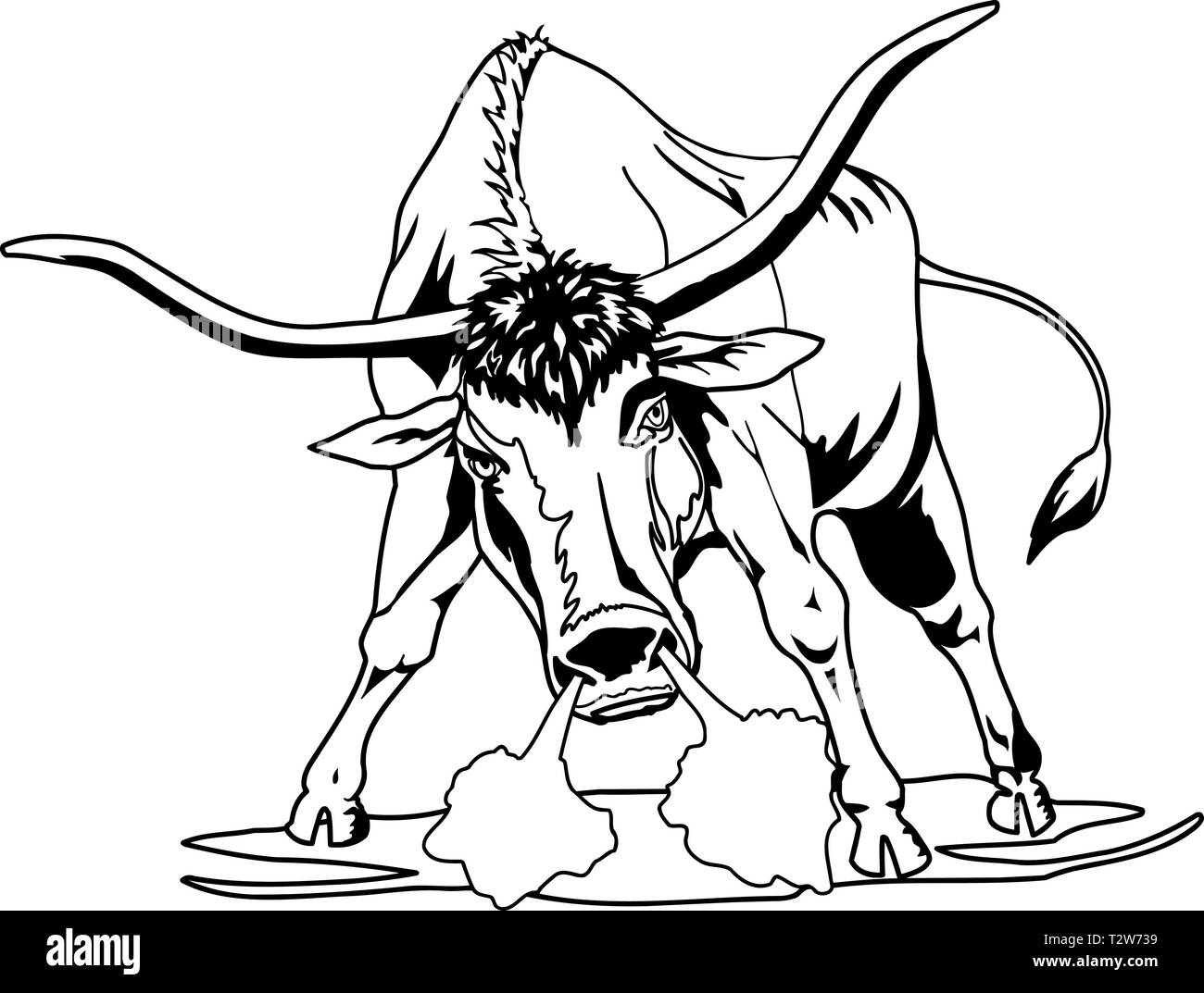 Arrabbiato Longhorn Bull illustrazione vettoriale Illustrazione Vettoriale