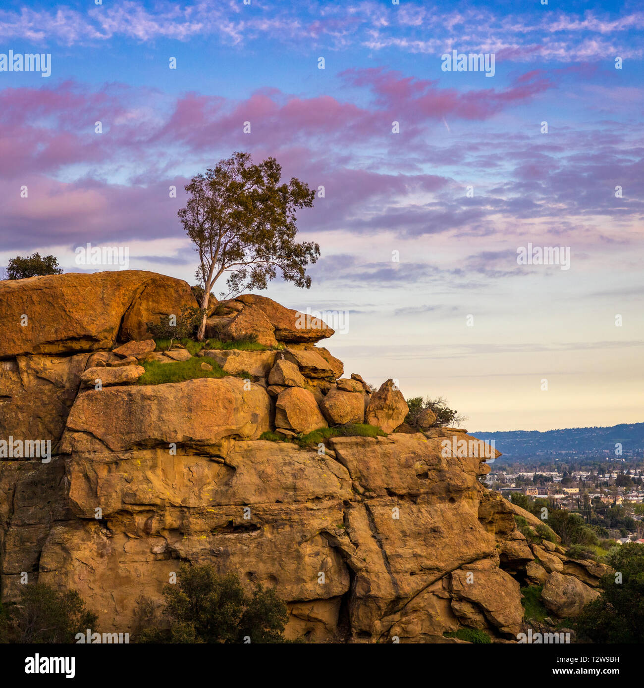 Albero isolato in cima bella arenaria formazioni di roccia al tramonto con le nuvole colorate nel cielo, Giardino degli dèi park, Chatsworth, California Foto Stock