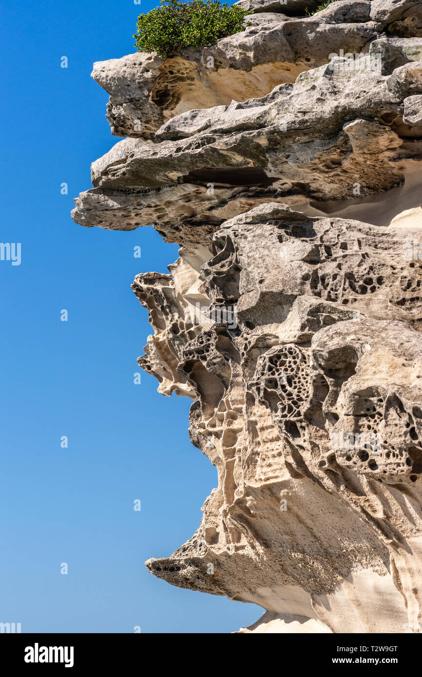 Sydney, Australia - 11 Febbraio 2019: Closeup dei coniugi Mackenzie punto beige-grigio rock formazione sulla South Shore lands end di Bondi Beach. Blue sky. Una g Foto Stock