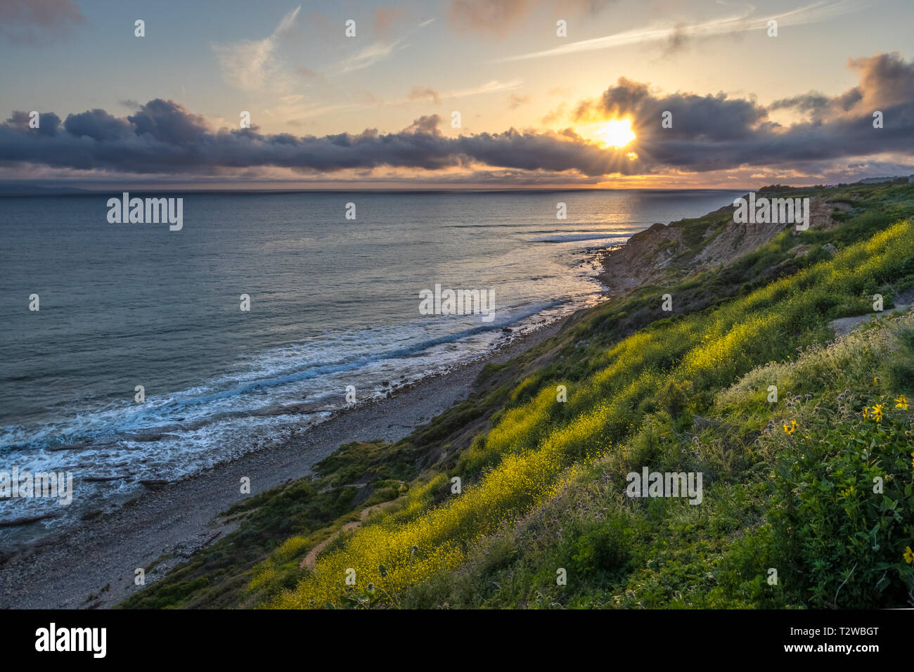 Splendide coste vista al tramonto con scogliere ricoperti di fiori selvatici giallo durante la California Super Bloom di 2019, Rancho Palos Verdes, Californ Foto Stock