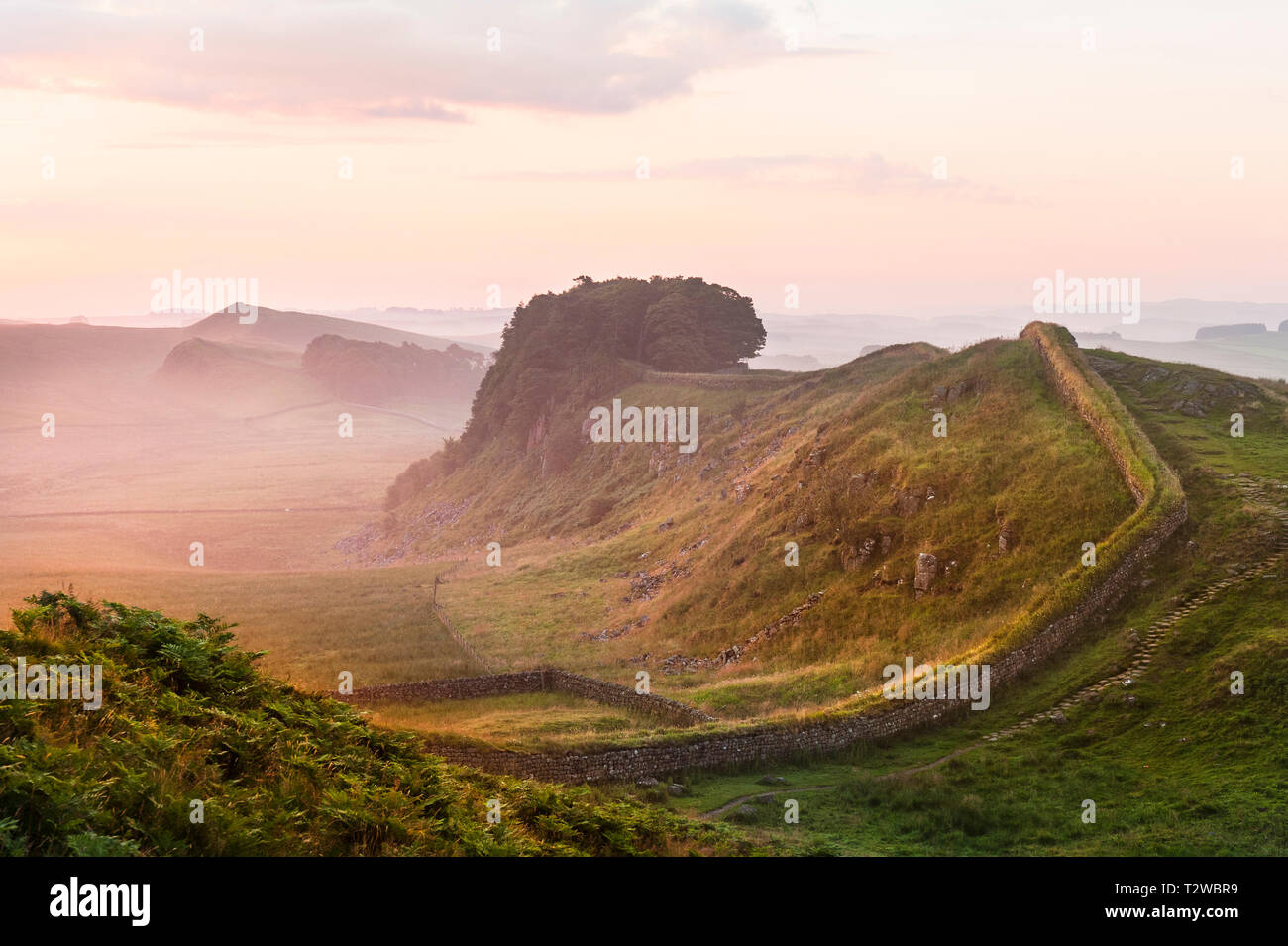 Il Vallo di Adriano all'alba con early morning mist vicino alla rupe di Housesteads Foto Stock