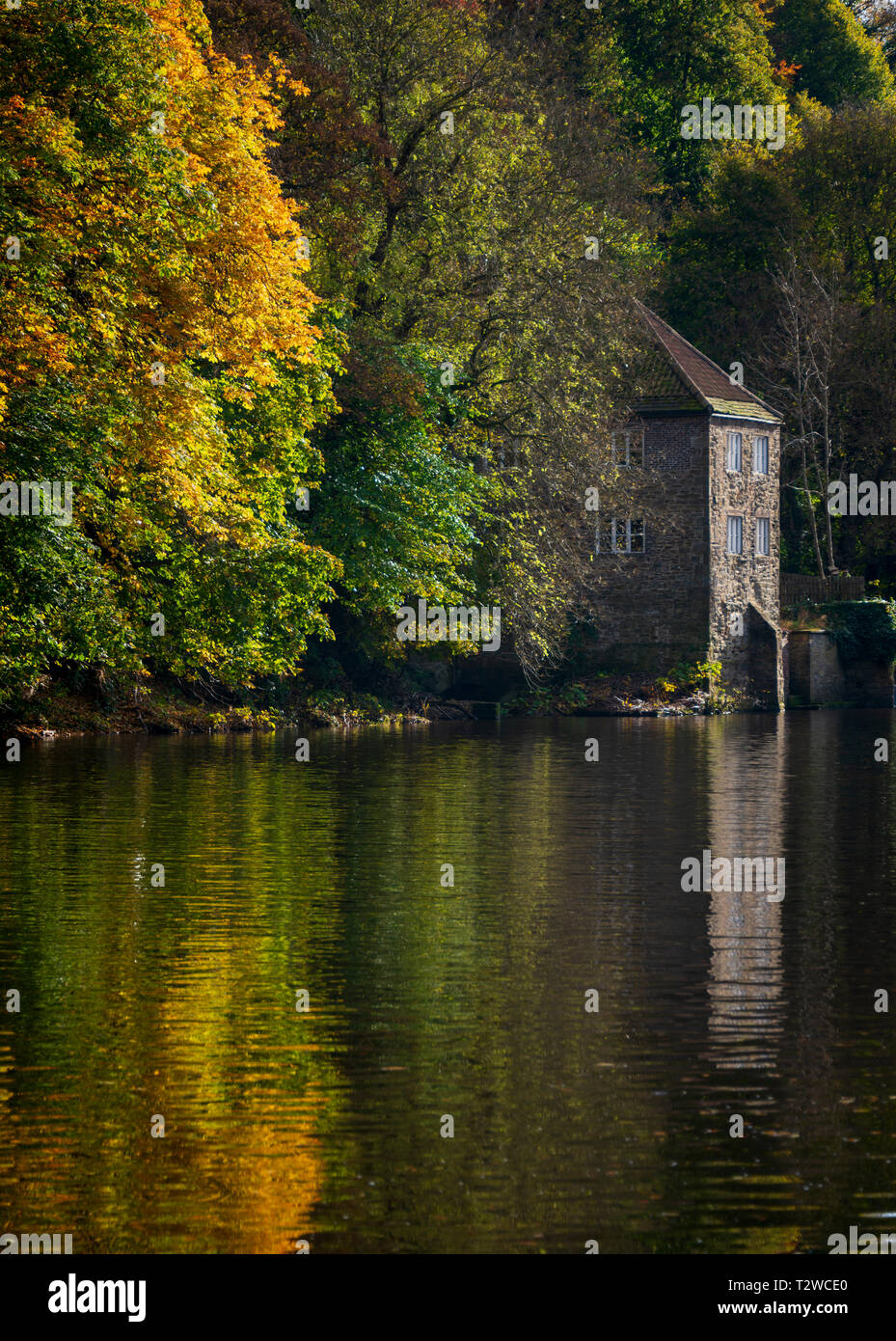 Vecchio Fulling Mill tra gli alberi d'autunno sulle rive del fiume indossare il vecchio edificio in pietra è stata utilizzata in precedenza come un museo dall Università di Durham Foto Stock