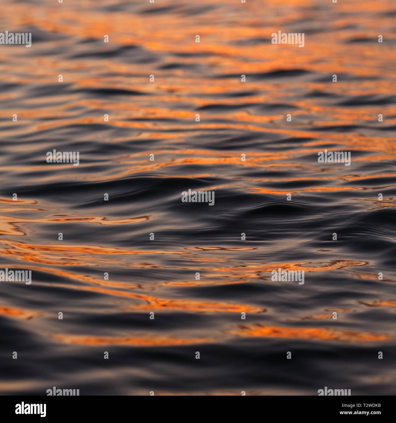 Onda al tramonto con basso angolo di visualizzazione. Acqua nel lago è di close-up. Foto Stock