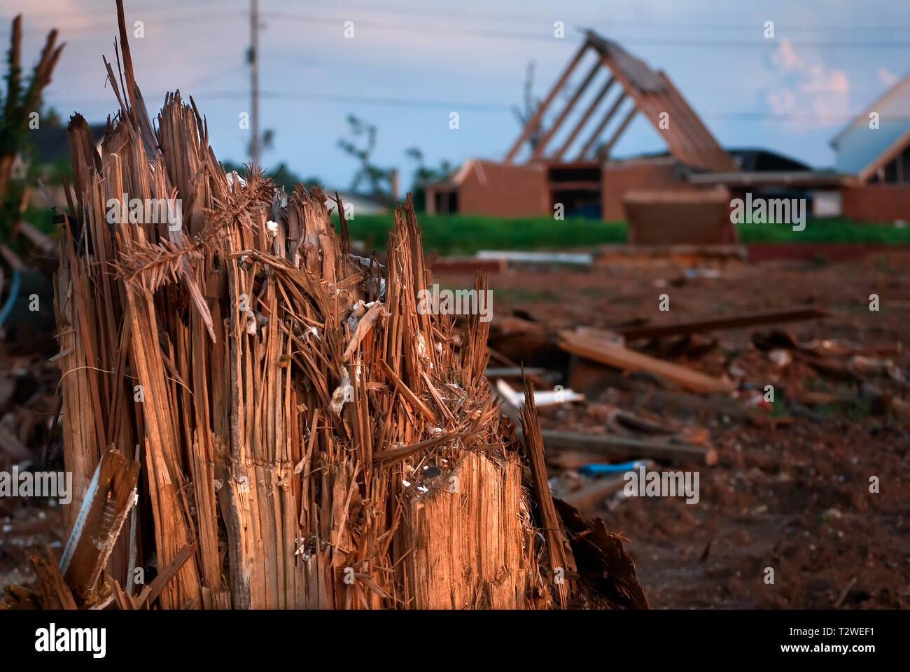 Un albero, strappato a metà da 27 Aprile tornado, sorge nella parte anteriore di un pesantemente danneggiata chiesa nella città di Alberta Luglio 26, 2011 in Tuscaloosa, Alabama. Foto Stock