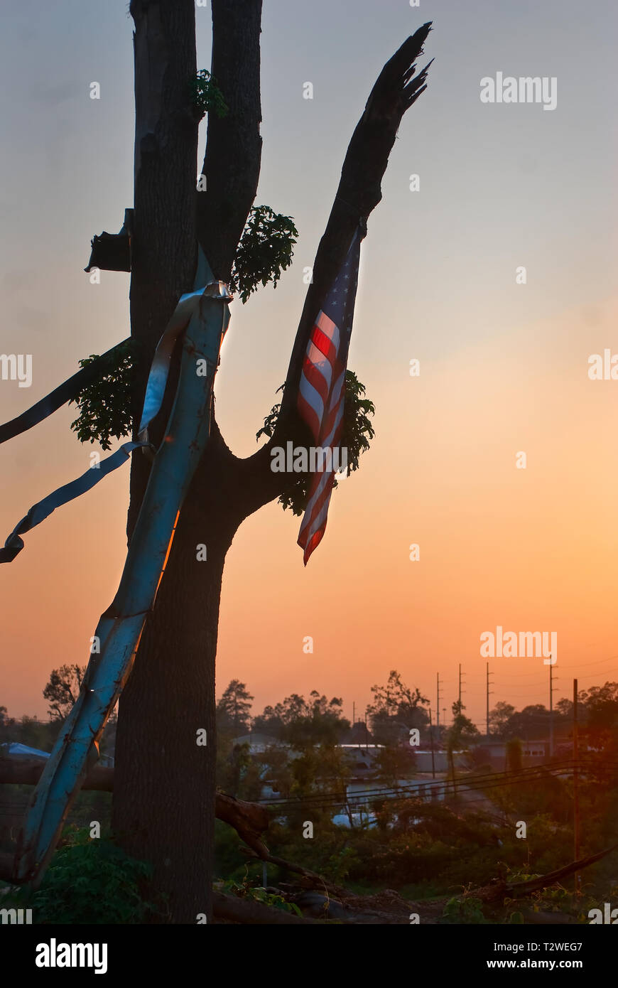 Un albero, strappato a metà da 27 Aprile tornado, sorge nella parte anteriore di un pesantemente danneggiata quartiere, luglio 26, 2011 in Tuscaloosa, Alabama. Foto Stock