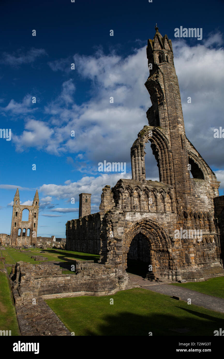 Rovine di St Andrews cattedrale in Scozia in una giornata di sole. Foto Stock