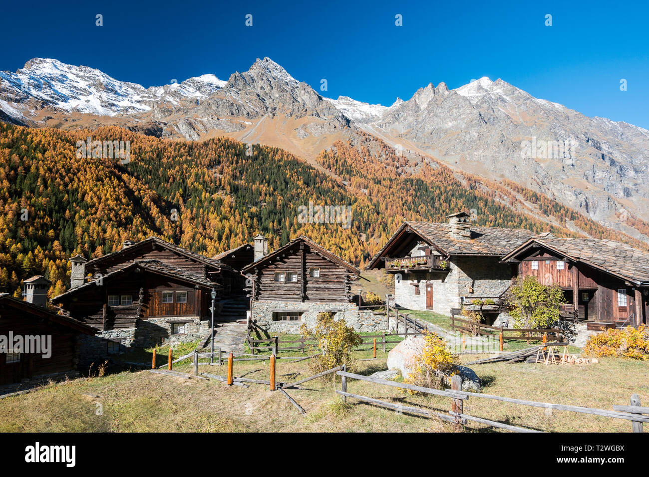 L'Italia, la Valsavarenche Parco Nazionale del Gran Paradiso, il villaggio di Nex, ristrutturato rispettando la sagoma originale dell'architetto Franco Binel; Abete rosso e larice europeo di foresta in autunno Foto Stock