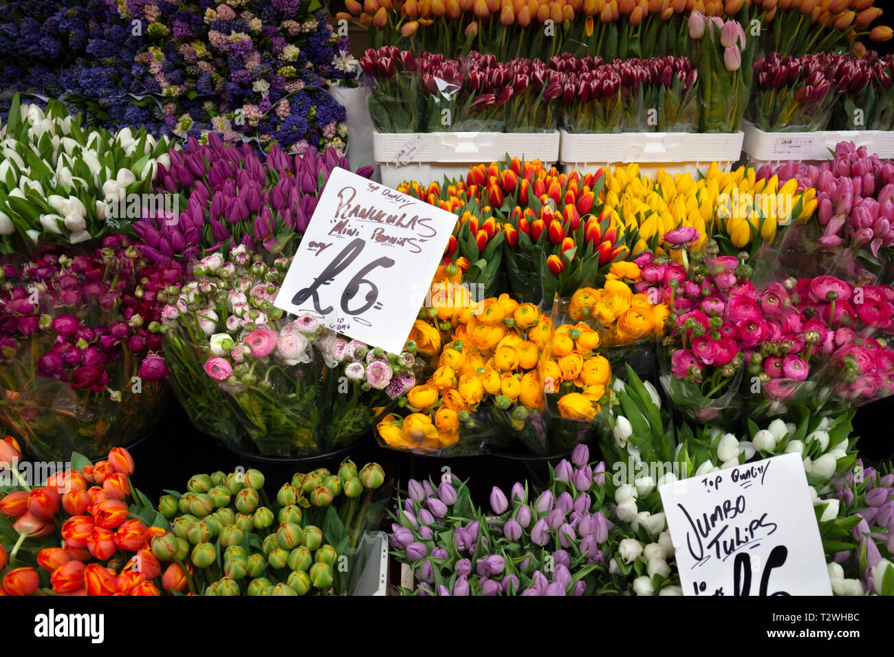 Columbia Road flower market su una domenica mattina di marzo, Bethnal Green, Tower Hamlets, Greater London, London, England, Regno Unito, Europa Foto Stock