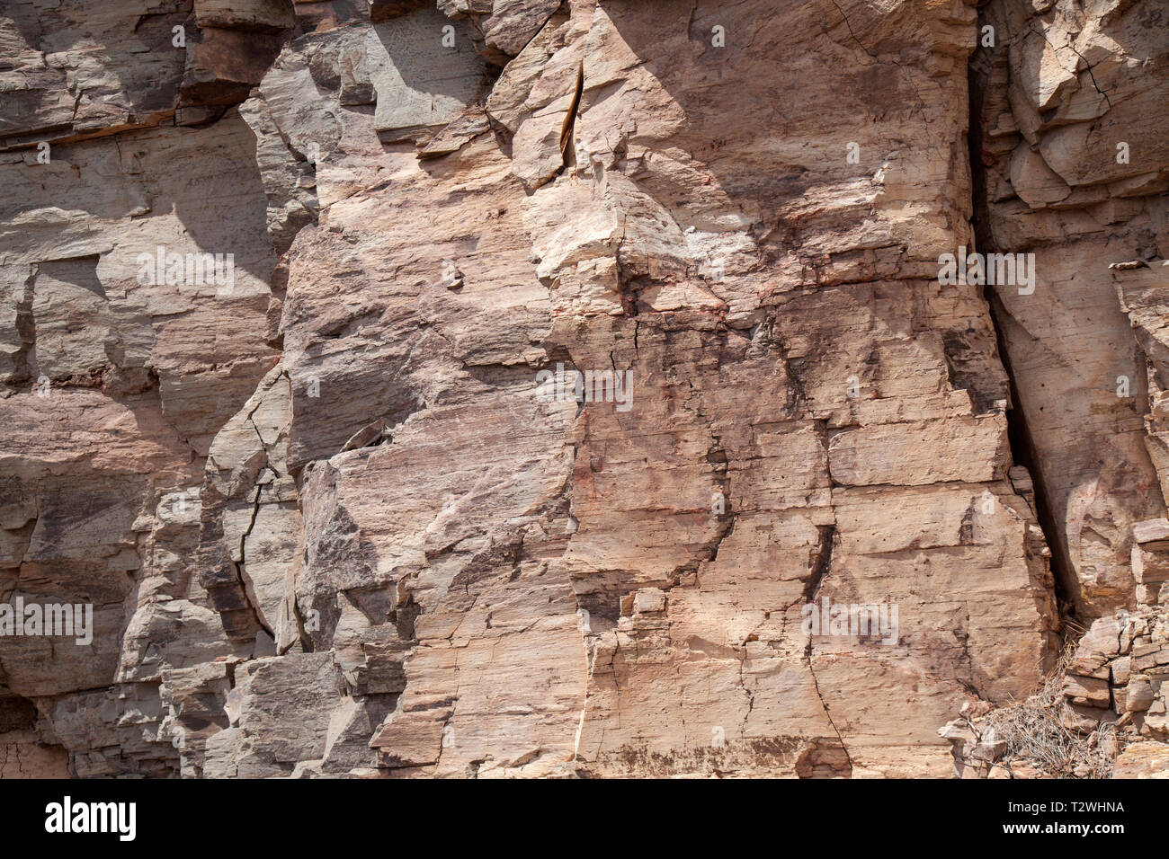 Flat rock superficie con molte crepe sfondo naturale Foto Stock