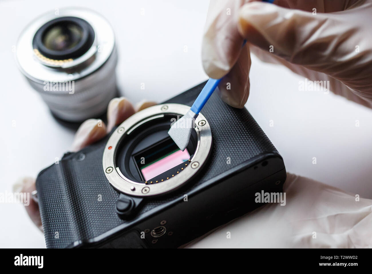 Close-up di mirrorless digital APS-C telecamera sporca sensore a matrice per la pulizia e la manutenzione con tampone, fotografo fotocamera di pulizia su bianco backgro Foto Stock