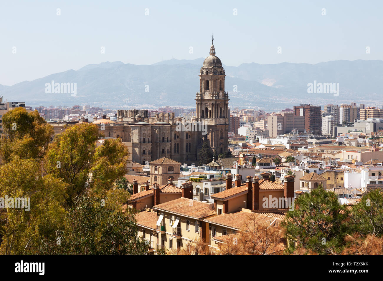 Cattedrale di Malaga e Malaga città vecchia skyline, Malaga Andalusia Spagna Europa Foto Stock