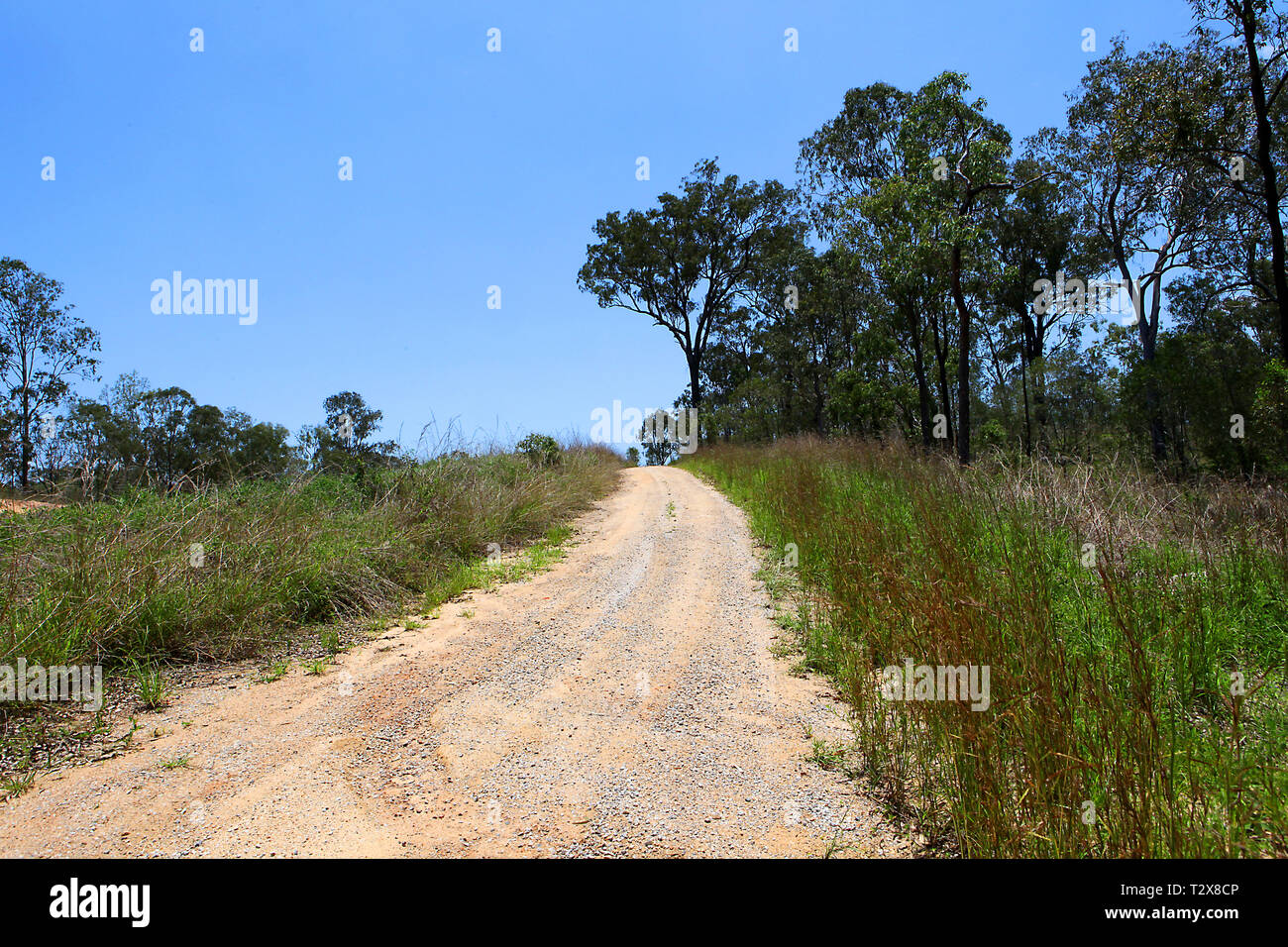 Visitare l'Australia. Panorami e paesaggi scenic dell Australia. Strada sterrata in Victoria, Australia Foto Stock