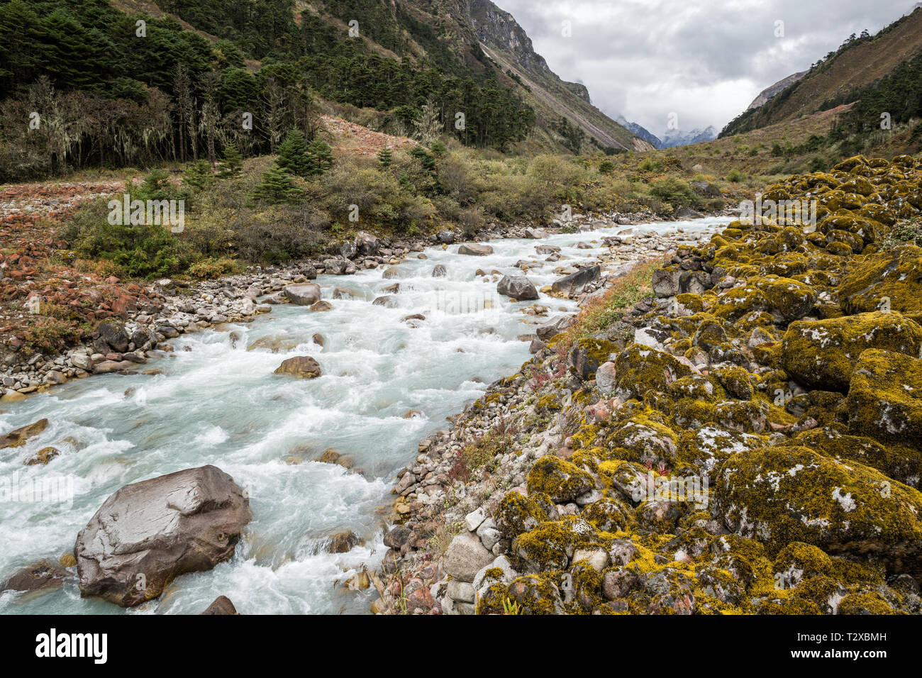 Fiume nella valle Tarina, Gasa distretto, Snowman Trek, Bhutan Foto Stock