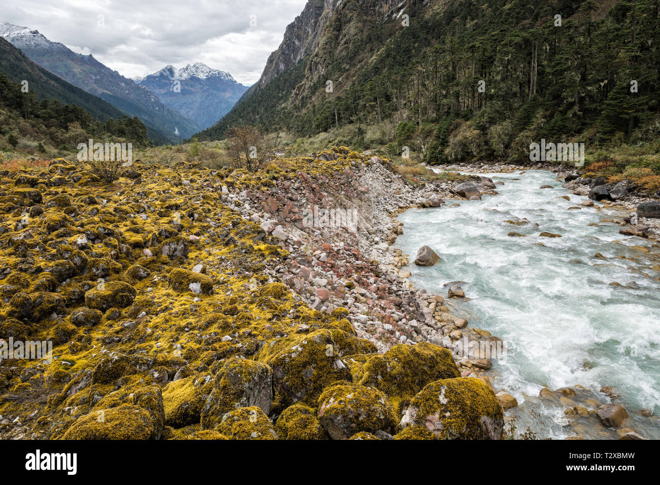 La Tarina valle e il suo fiume, Gasa distretto, Snowman Trek, Bhutan Foto Stock