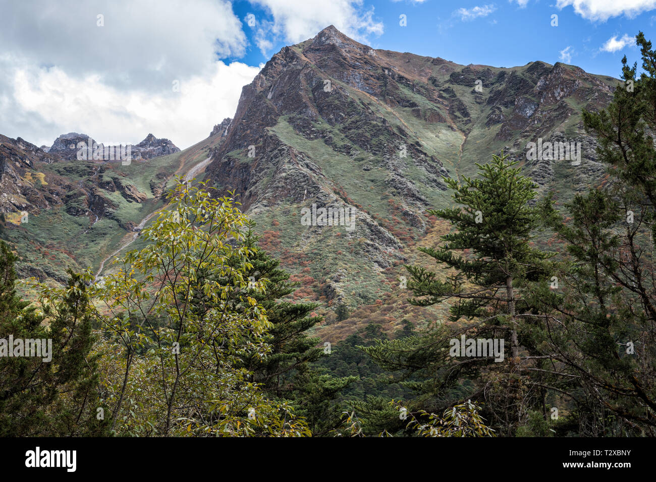 Montagne tra Woche e Thrika, Gasa distretto, Snowman Trek, Bhutan Foto Stock