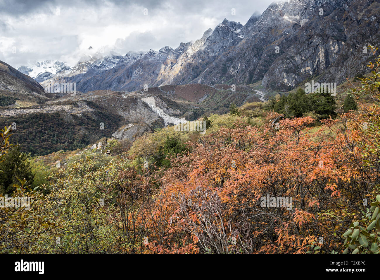 Montagne e vegetazione vicino Thrika camp, Gasa distretto, Snowman Trek, Bhutan Foto Stock