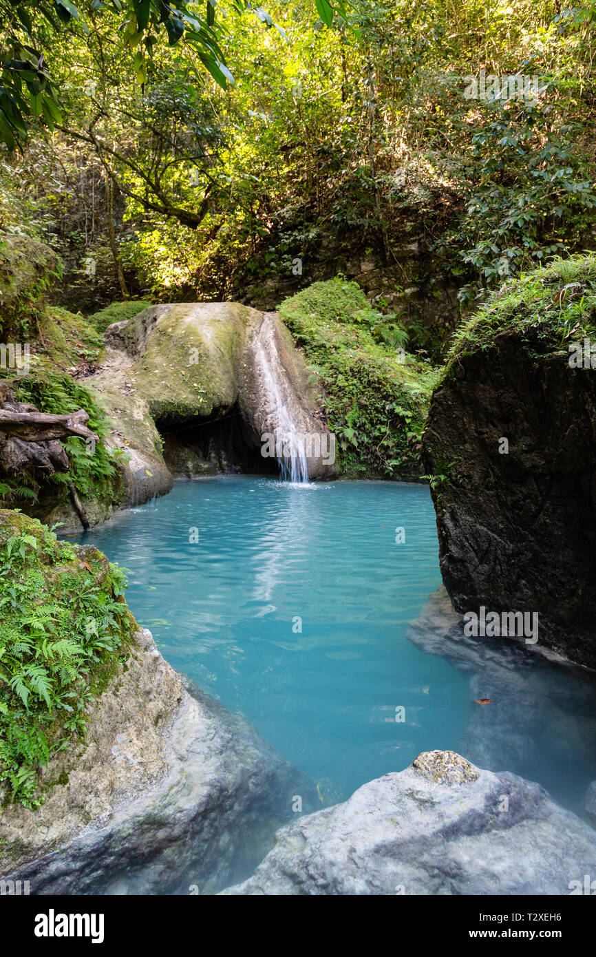 Una piccola cascata si tuffa in una piscina a distanza foro vicino a Puerto Plata, Repubblica Dominicana - un grande giorno di viaggio avventura per i turisti e la gente del posto. Foto Stock