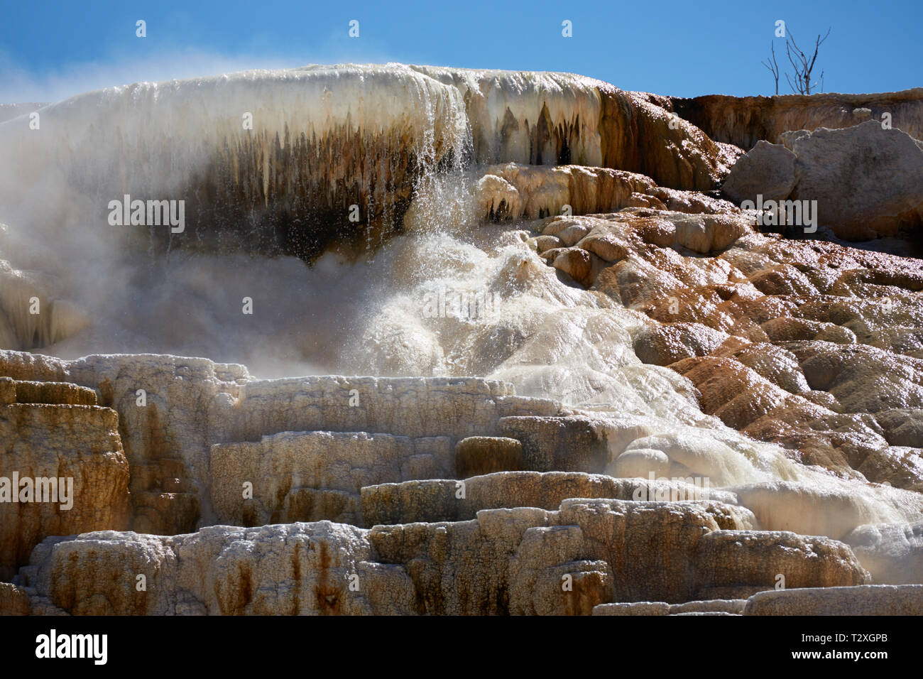 L'acqua che scorre su terrazze a Mammoth Hot Springs nel Parco Nazionale di Yellowstone Foto Stock