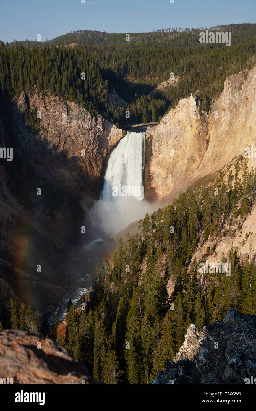 Le cascate Inferiori di Yellowstone, il Parco Nazionale di Yellowstone Foto Stock