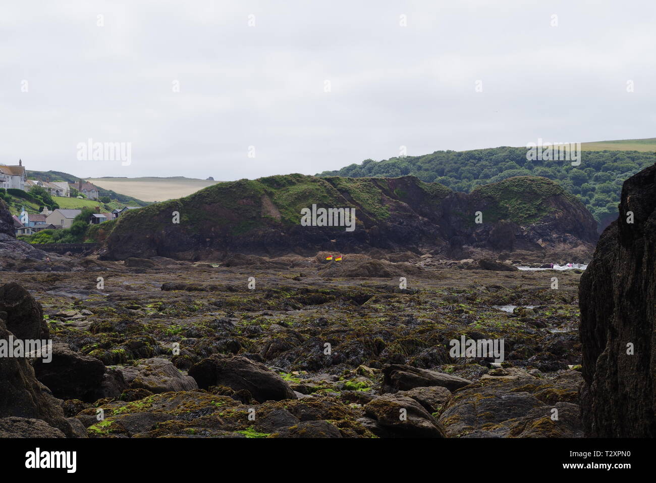 Shippen e Mouthwell Beach a bassa marea su una soleggiata giornata d'estate. Speranza Cove, South Devon, Regno Unito. Foto Stock