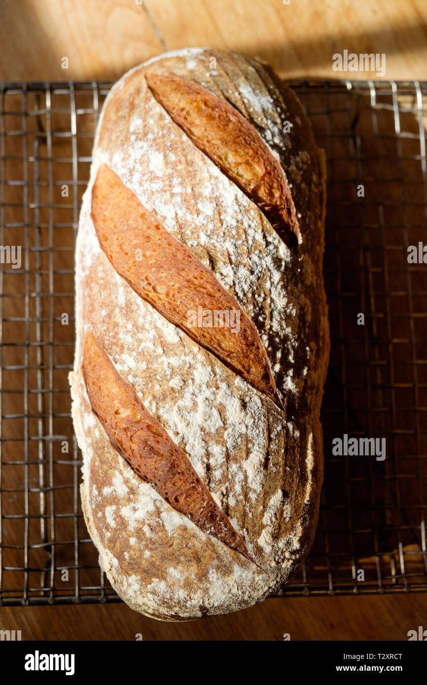 Un pane casereccio pane di pasta acida raffreddamento su un rack. Foto Stock