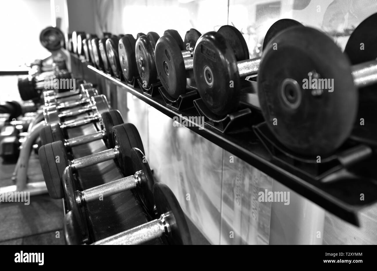 Fila di manubri per sollevamento pesi nella palestra. Foto Stock