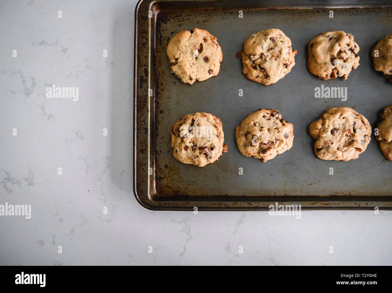 Cioccolato appena sfornati raffreddamento su una teglia shot da Foto Stock