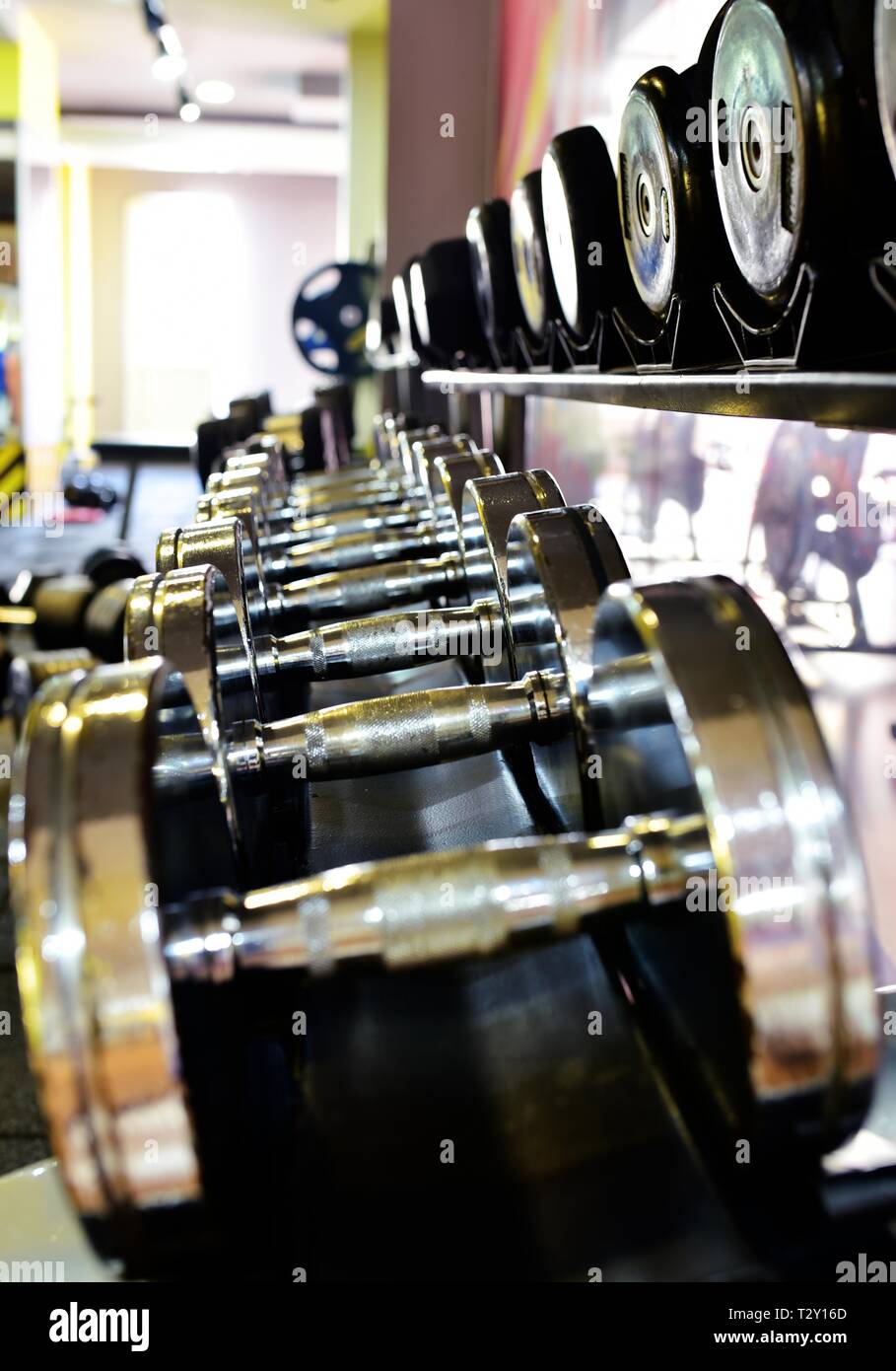 Fila di manubri per sollevamento pesi nella palestra. Foto Stock