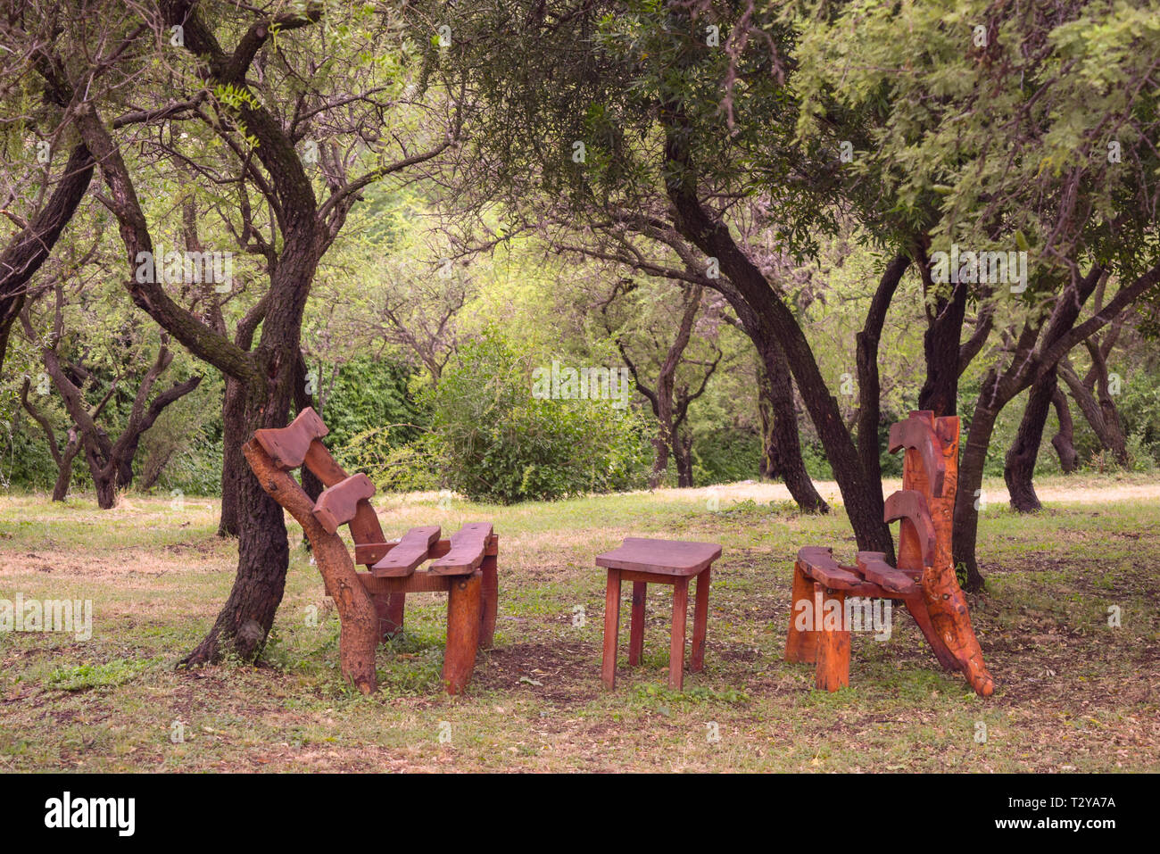 Un tavolo e due panche rustiche nel mezzo di una fitta foresta Foto Stock