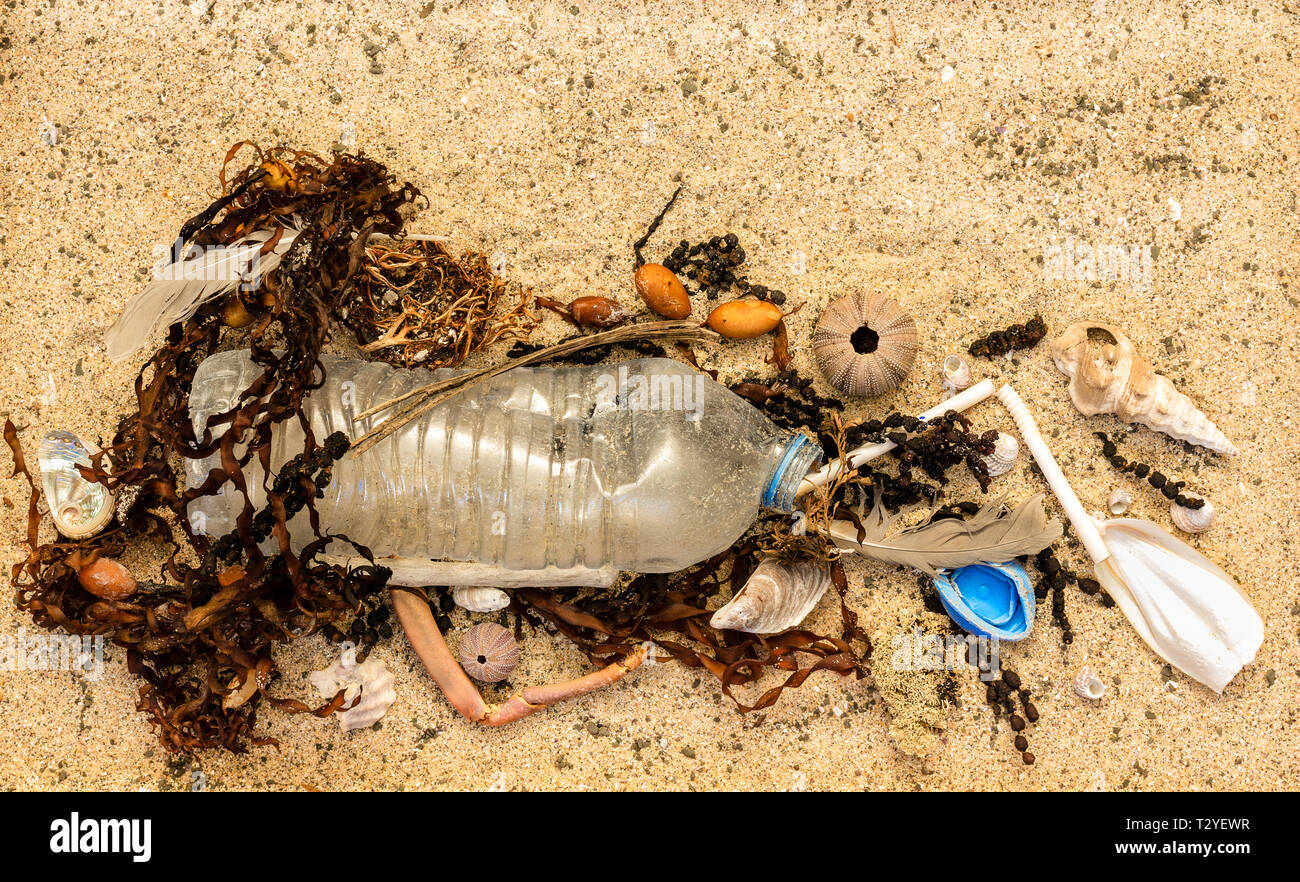 Real la bottiglia di plastica con tappo e paglia di plastica lavati fino sulla spiaggia miscelati con alghe marine e conchiglie di piume. Uso singola inquinamento in plastica Foto Stock