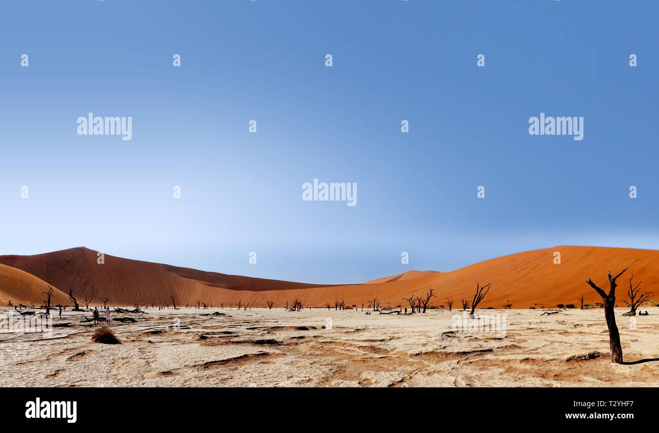 Dead Vlei con la duna Big Daddy nel panorama, Sossusvlei, Namibia Foto Stock